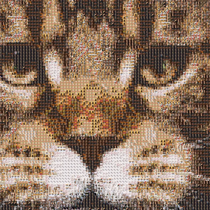 Cats Mosaic – zoom level 2 of 5