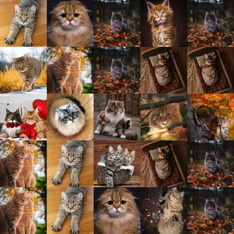 Cats Mosaic – zoom level 5 of 5